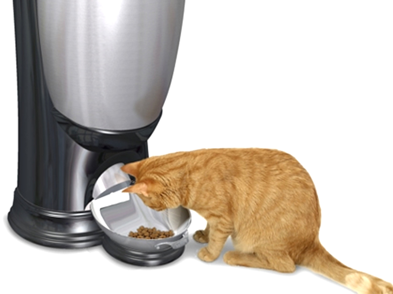 Ristorina - Distributori Automatici di acqua e cibo per cani gatti